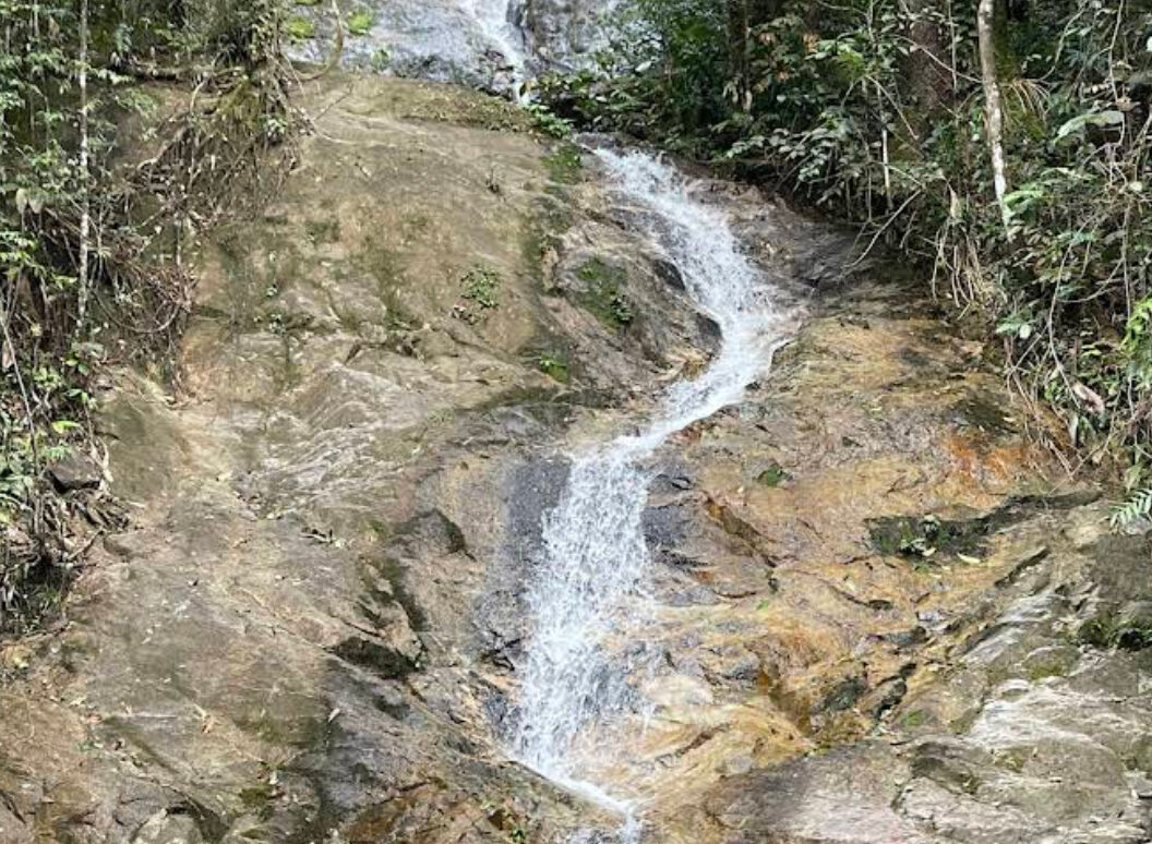 Bukit Larut Maxwell Hill 太平 麦克斯韦山