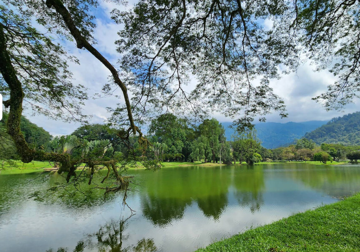 太平湖公园 Taiping Lake Gardens 霹雳自然景点