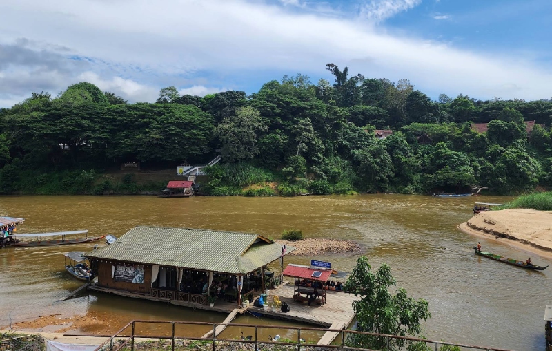 Taman Negara rainforest trail boardwalk