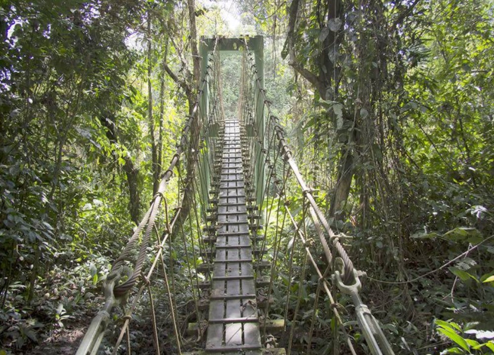 Gunung Mulu National Park 姆鲁国家公园 UNESCO 洞穴与雨林